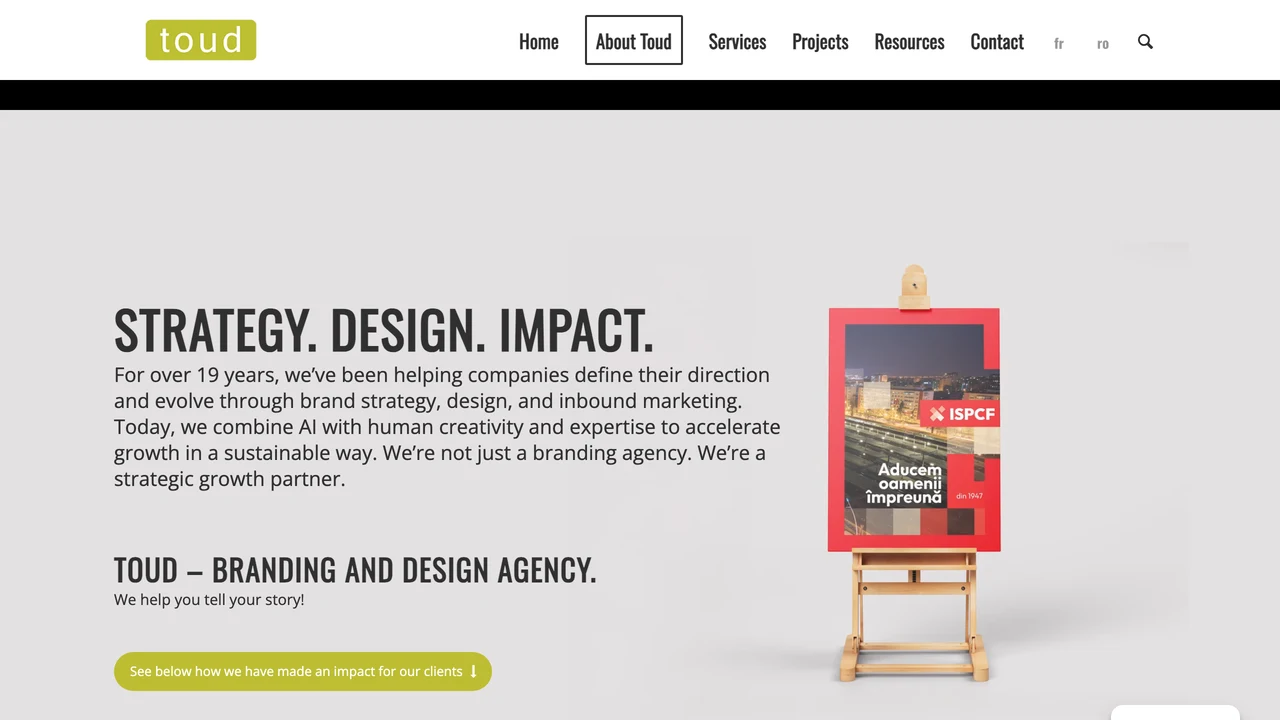 Captura a site-ului Toud